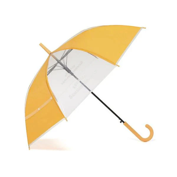 Kakao Friends - Summer Holiday Clear Umbrella [Ryan] - Image 3