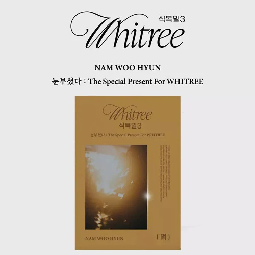 Nam Woo Hyun - 눈부셨다 : The Special Present For WHITREE [식목일 3 Live Ver.] - Image 3