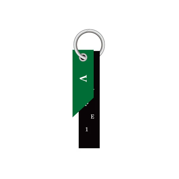 V - DIY Keyring [ARTSPACE: TYPE 1 Official MD]